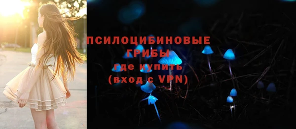 не бодяженный Алзамай
