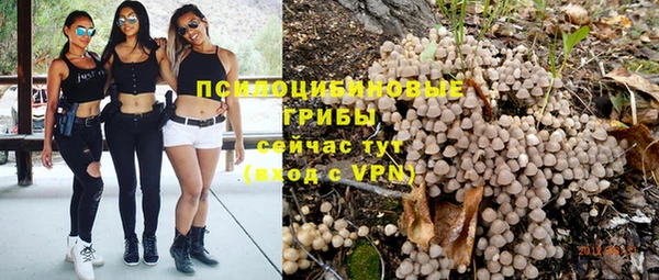 mdpv Арсеньев