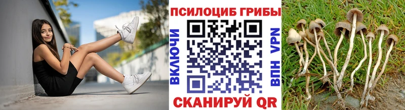 блэк спрут ССЫЛКА Аша Псилоцибиновые грибы прущие грибы